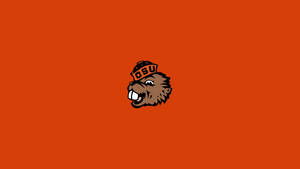 Cute Beaver Oregon State University Wallpaper