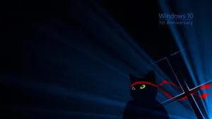 Cute Black Cat Cool 4k Wallpaper