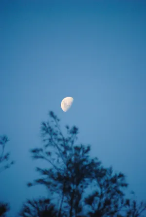 Cute Blue Aesthetic Sky And Half Moon Wallpaper
