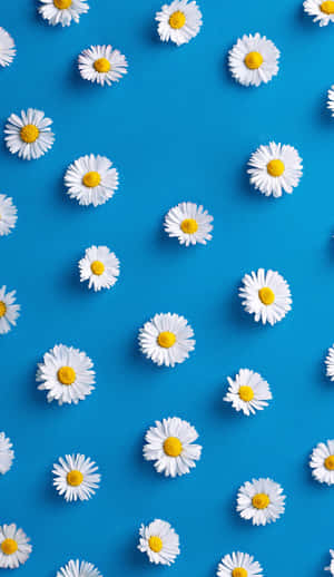 Cute Blue Iphone Screen Background Wallpaper