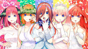 Cute Bride Anime Girls Wallpaper