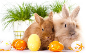 Cute Bunny Babies For Easter Wallpaper