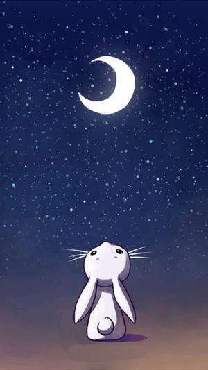 Cute Bunny Looking Up The Sky Wallpaper