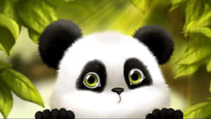 Cute Cartoon Panda Hairy Head Wallpaper