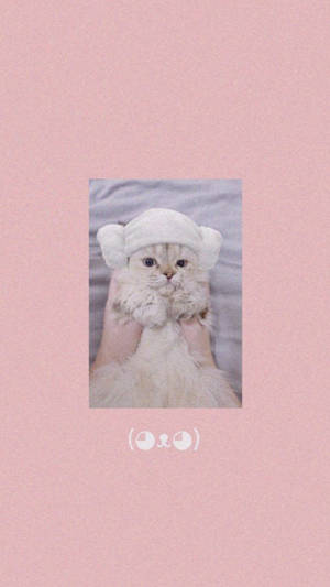 Cute Cat Aesthetic Lamb Head Towel Wallpaper