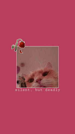 Cute Cat Aesthetic Silent But Lethal Wallpaper