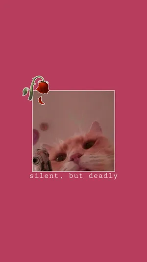 Cute Cat Aesthetic Silent But Lethal Wallpaper