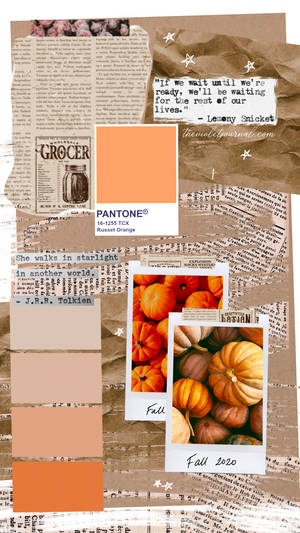 Cute Collage Warm Autumn Aesthetic Wallpaper
