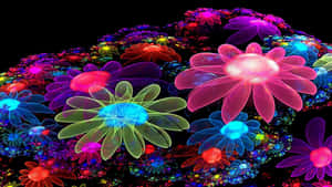 Cute Colorful Glowing Flower Wallpaper