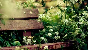 Cute Country Rustic Bench Wallpaper