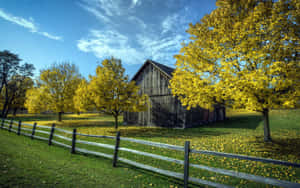 Cute Country Wooden Farm House Wallpaper