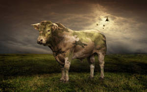 Cute Cow With Military Pattern Wallpaper