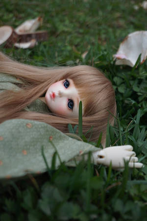Cute Doll On Grass Wallpaper