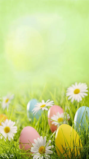 Cute Easter Eggs Wallpaper