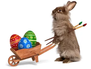 Cute Easter Rabbit Wallpaper