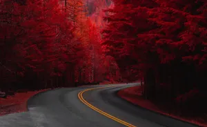 Cute Fall Aesthetic Scenery Wallpaper