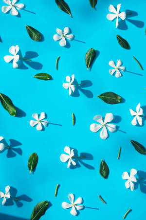 Cute Floral Blue And White Wallpaper