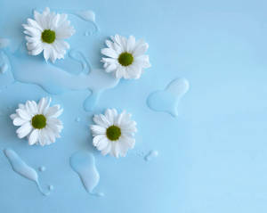 Cute Flowers And Light Blue Aesthetic Ipad Wallpaper