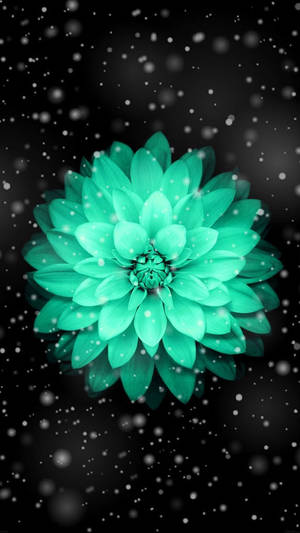 Cute Green Flower Wallpaper