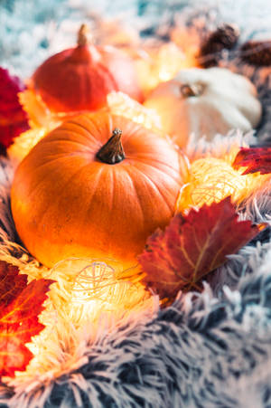 Cute Halloween Iphone Pumpkins Wallpaper