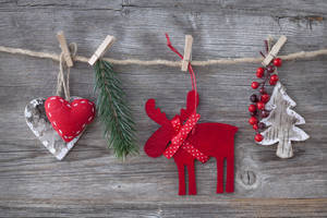 Cute High Resolution Christmas Moose Wallpaper