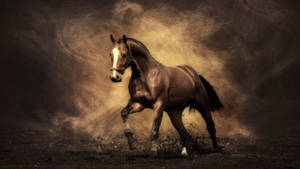 Cute Horse With White Marking Wallpaper