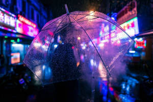 Cute Indigo Aesthetic Light Wallpaper