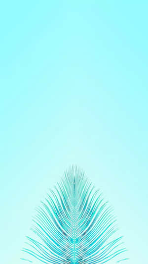 Cute Iphone Teal Feather With Thin Strands Wallpaper