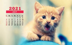 Cute Kitten July 2021 Calendar Wallpaper
