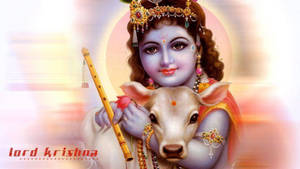 Cute Krishna With A Lamb Wallpaper