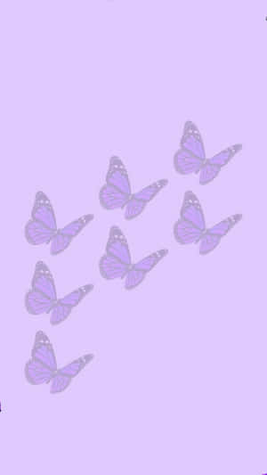 Cute Light Purple Butterflies Wallpaper