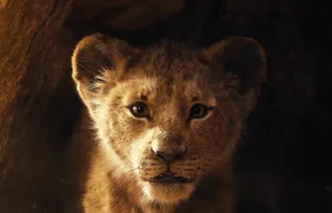 Cute Lion King Character Nala Wallpaper