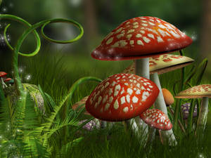 Cute Magical Mushrooms With Vines Wallpaper