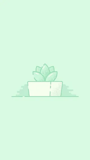 Cute Mint Green Succulents Aesthetic Wallpaper