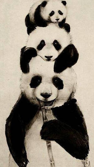 Cute Panda Family Wallpaper