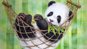 Cute Panda On A Hammock Wallpaper