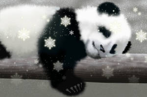 Cute Panda With Snow Flakes Wallpaper