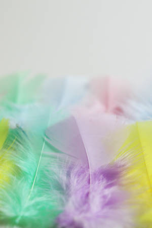 Cute Pastel Aesthetic Multicolored Feathers Wallpaper