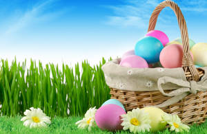 Cute Pastel Easter Eggs Wallpaper