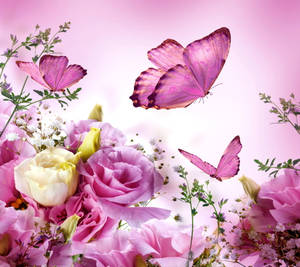 Cute Pink Butterfly In Pink Garden Wallpaper
