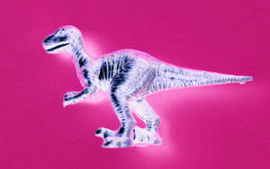 Cute Pink Dinosaur X-ray Wallpaper