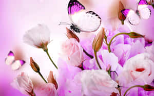 Cute Purple Flowers And Butterflies Hd Wallpaper