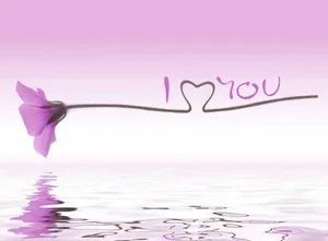 Cute Purple Rose Wallpaper