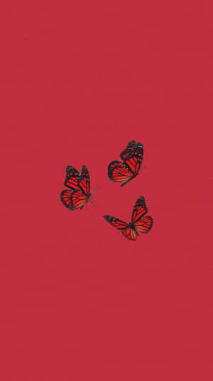 Cute Red Butterflies Wallpaper
