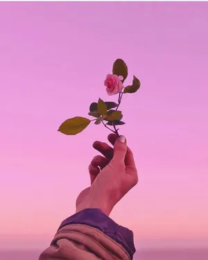 Cute Rose Aesthetic Phone Wallpaper