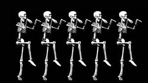 Cute Skeleton Dancers Wallpaper
