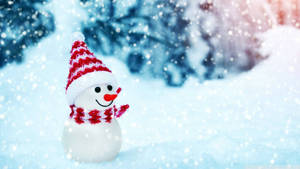 Cute Snow Rabbit In Winter Wonderland Wallpaper