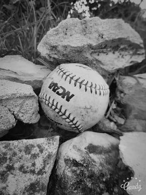 Cute Softball Grayscale Wallpaper
