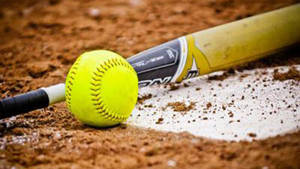 Cute Softball Items Wallpaper