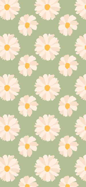 Cute Spring Daisies Iphone Wallpaper